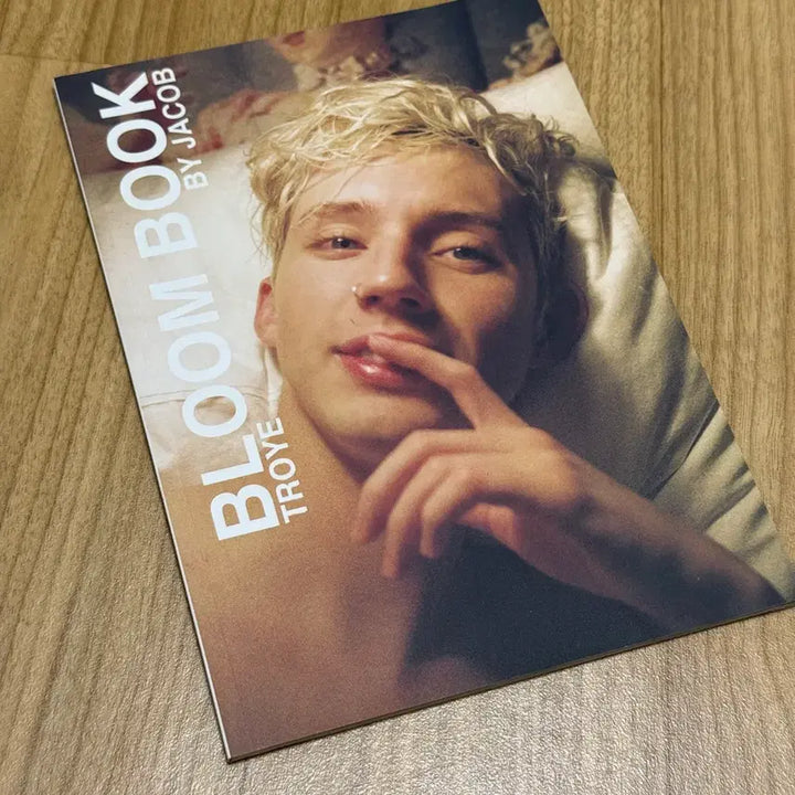 [BUNJANG] Troye Sivan Bloom Book / 트로이 시반 블룸북 troye sivan bloom book