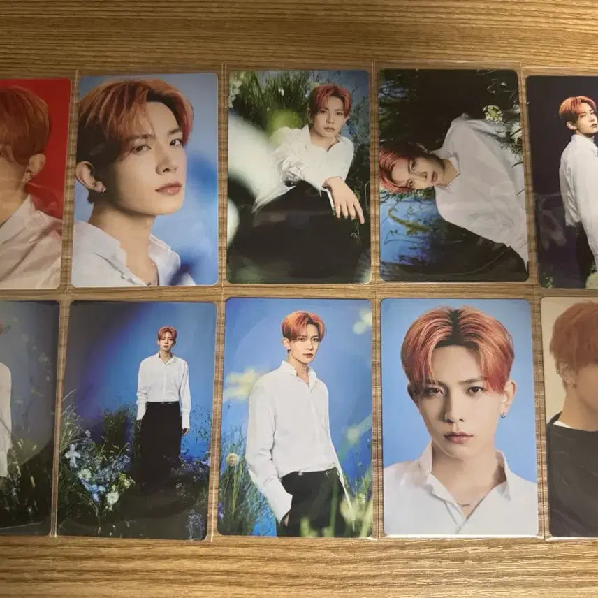 [BUNJANG] ENHYPEN Heeseung Evan Photocard / 에반 희승 엔하이픈 포카 양도 evan heeseung