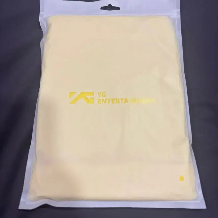 [BUNJANG] Big Bang 20th Anniversary First Concert Gift Set &amp; Lightstick / 빅뱅20주년 첫콘 기프트세트