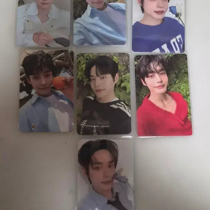 [BUNJANG] ZEROBASEONE Kim Ji Woong Photocard Set / 제로베이스원 김지웅 포카