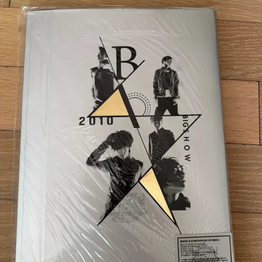 [BUNJANG] Bigbang Big Show 2010 Pamphlet / 빅뱅 빅쇼 2010 팜플렛