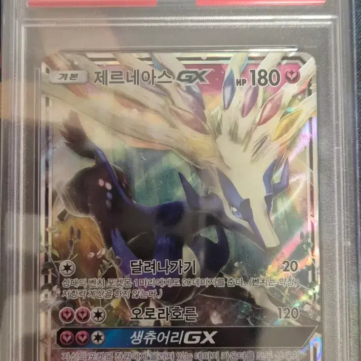 [BUNJANG] Zacian &amp; Zamazenta Set Psa 10 / [ 전세계유일 POP1 ] 썬문 제르네아스 PSA10