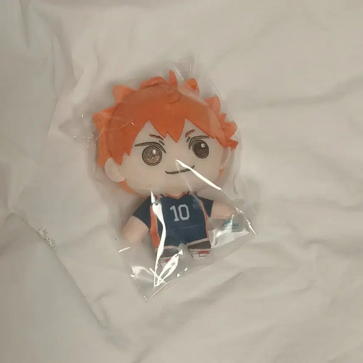 [BUNJANG] Haikyu!! Ichiban Kuji B Prize Hinata Plush Doll / 하이큐!! 이치방쿠지 B상 히나타누이구루미