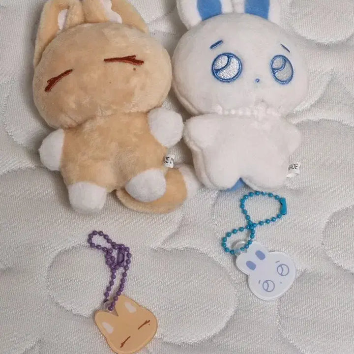 [BUNJANG] PLAVE Malang PLAVE Noah/Yejun Plush Doll (Includes Keyring) / 플레이브 비공굿 인형 말랑플브 노아/예준
