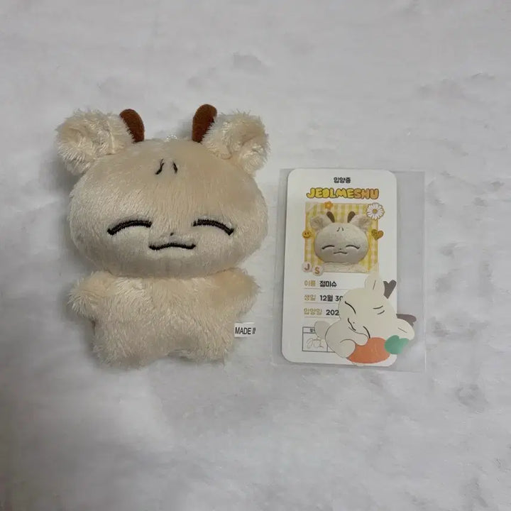 [BUNJANG] SEVENTEEN Joshua "Jeolmi" &amp; "Nup" Plush Set / 세븐틴 조슈아 인형 절미슈 &amp; 눕슈 일괄 판매