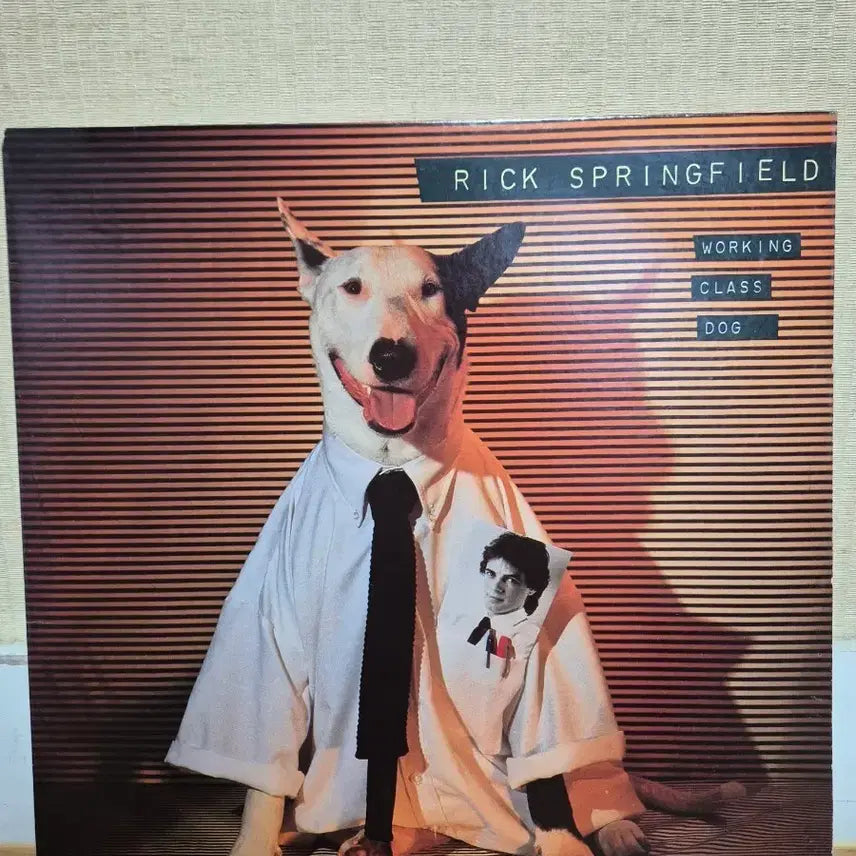 [BUNJANG] Rick Springfield US Release LP / 릭 스프링필드 미국발매반