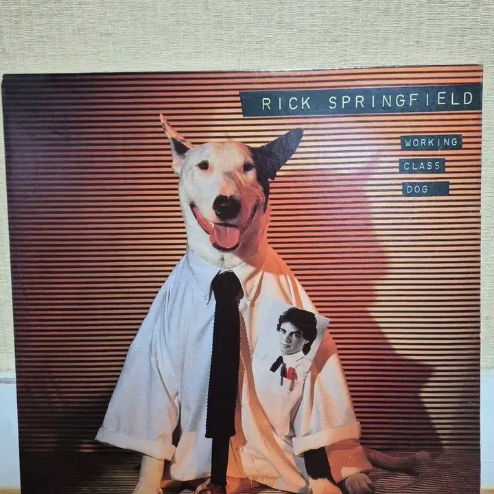 [BUNJANG] Rick Springfield US Release LP / 릭 스프링필드 미국발매반