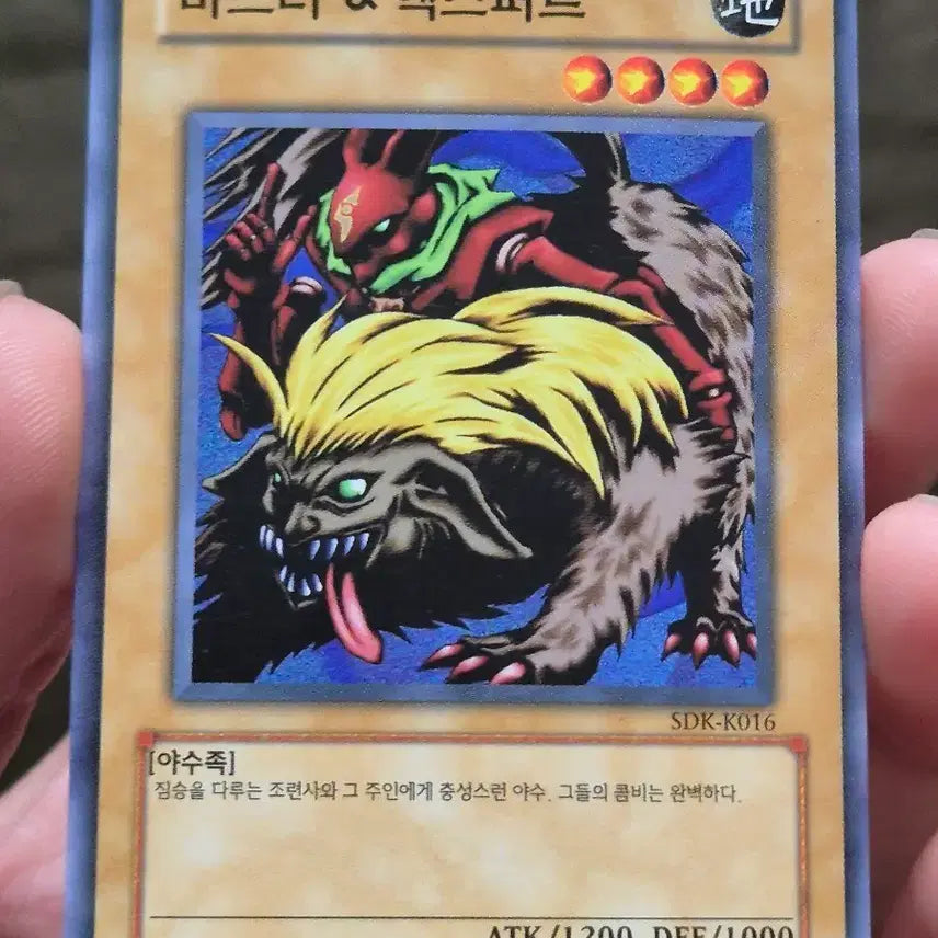[BUNJANG] Yu-Gi-Oh! Master &amp; Expert Normal Cards / 유희왕 마스터 &amp; 엑스퍼트 노말