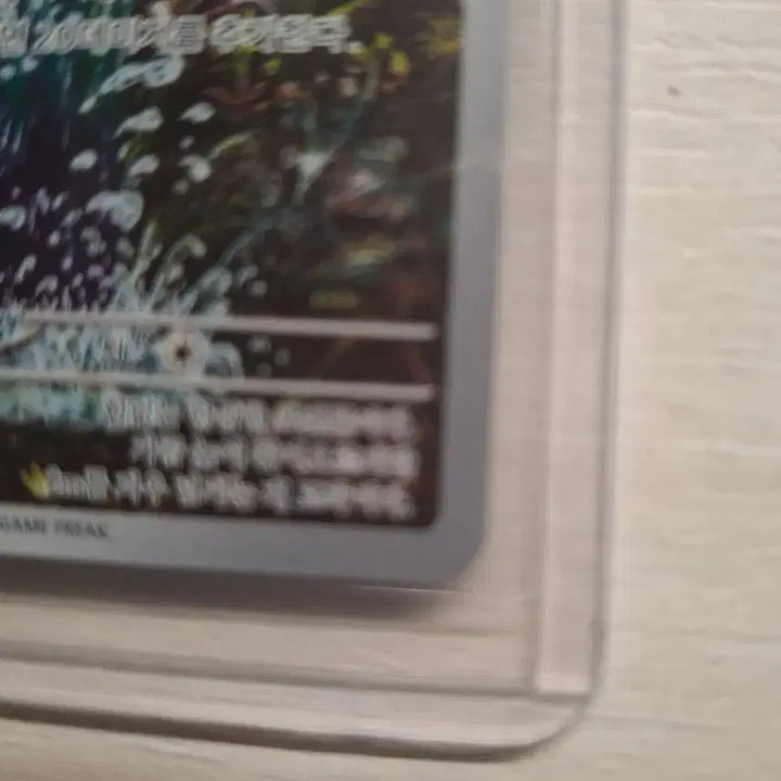 [BUNJANG] Gyarados Photocard Mint Condition / 잉어킹 ar 상태 ss급