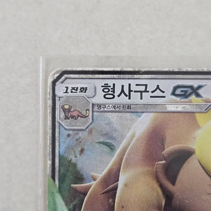 [BUNJANG] Pokemon Card Detective Goose GX RR (Sun &amp; Moon Series, 2017) - Album Use / [앨범용]2017년 고전 썬앤문시리즈 포켓몬카드 형사구스 GX RR