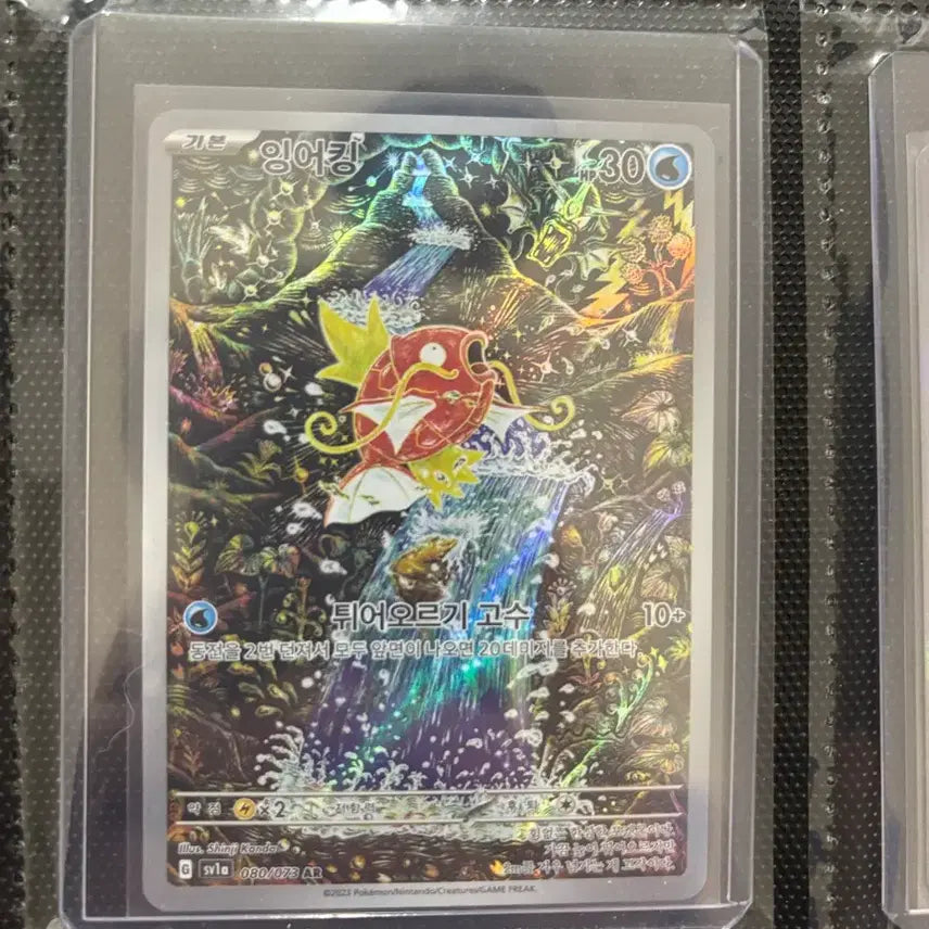 [BUNJANG] Pokemon Card Magikarp Special Art Rare Shinji Kanda Illustration / 포켓몬 카드 잉어킹 신지칸다