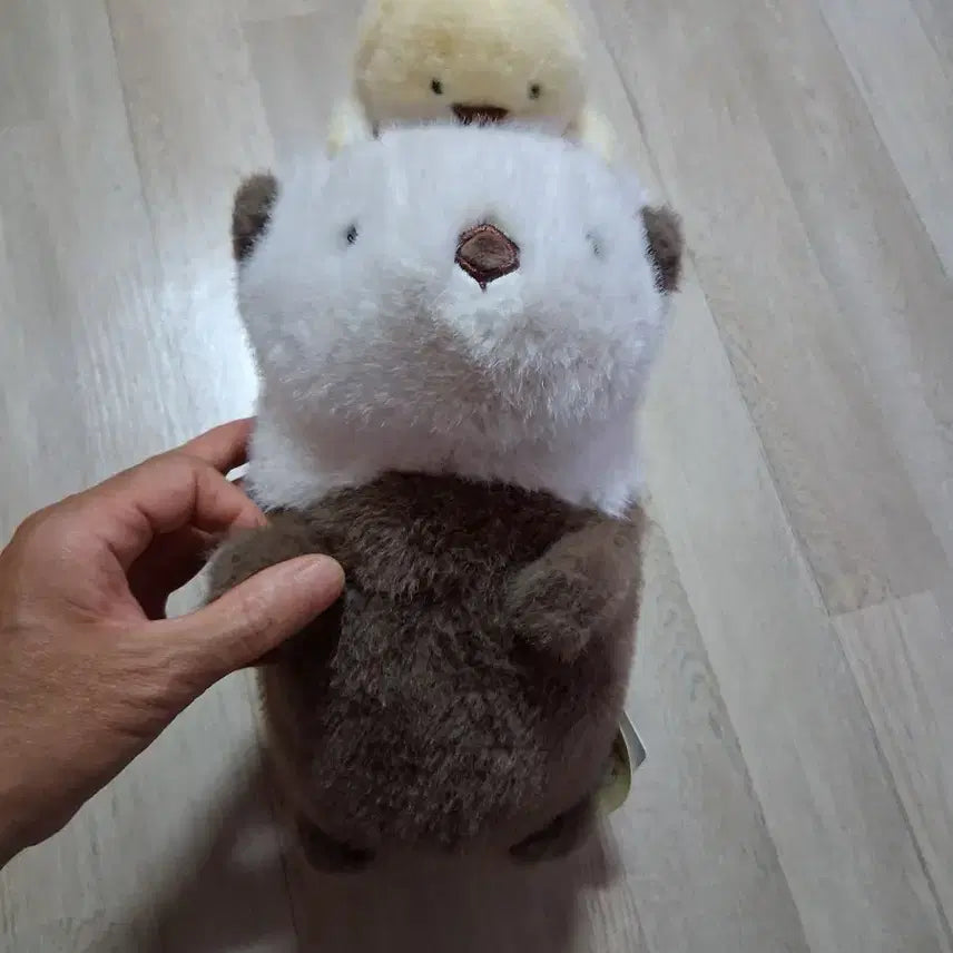 [BUNJANG] Rakko Rakko Chan Sea Otter Plush 27cm / 락코락코짱 해달27센티 봉제인형(무료배송)