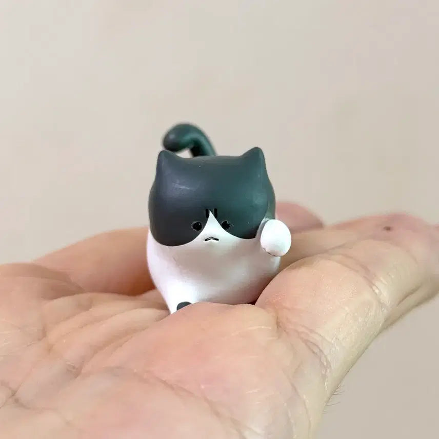 [BUNJANG] Bandai Angry Cat Figure Gacha Series 3 / 반다이 화난 고양이 피규어 가챠 3탄