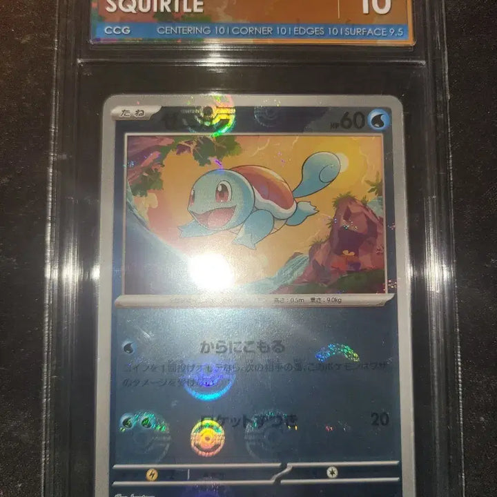 [BUNJANG] Pokemon TCG 151 Squirtle Moncolle CCG 10 / Bulbasaur CCG 9.5 / 일판 포켓몬스터 151 꼬부기 몬볼 CCG 10 151 이상해풀 CCG9.5 판매합니다