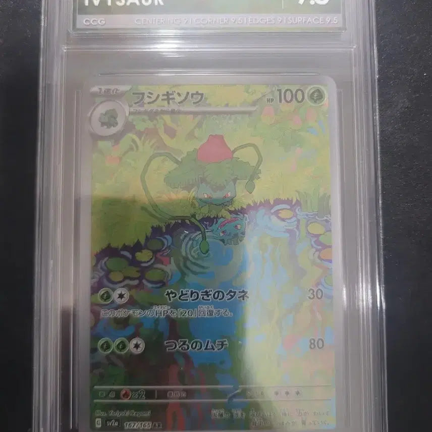 [BUNJANG] Pokemon TCG 151 Squirtle Moncolle CCG 10 / Bulbasaur CCG 9.5 / 일판 포켓몬스터 151 꼬부기 몬볼 CCG 10 151 이상해풀 CCG9.5 판매합니다