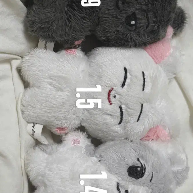 [BUNJANG] ENHYPEN Jay Sunoo Jungwon Plush Doll (US Cat, Korean Cat, Nyanjjo) / 엔하이픈 제이 선우 정원 인형 미국냥 냥쭈고 한국폭