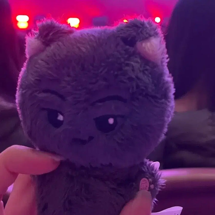 [BUNJANG] ENHYPEN Jay Sunoo Jungwon Plush Doll (US Cat, Korean Cat, Nyanjjo) / 엔하이픈 제이 선우 정원 인형 미국냥 냥쭈고 한국폭