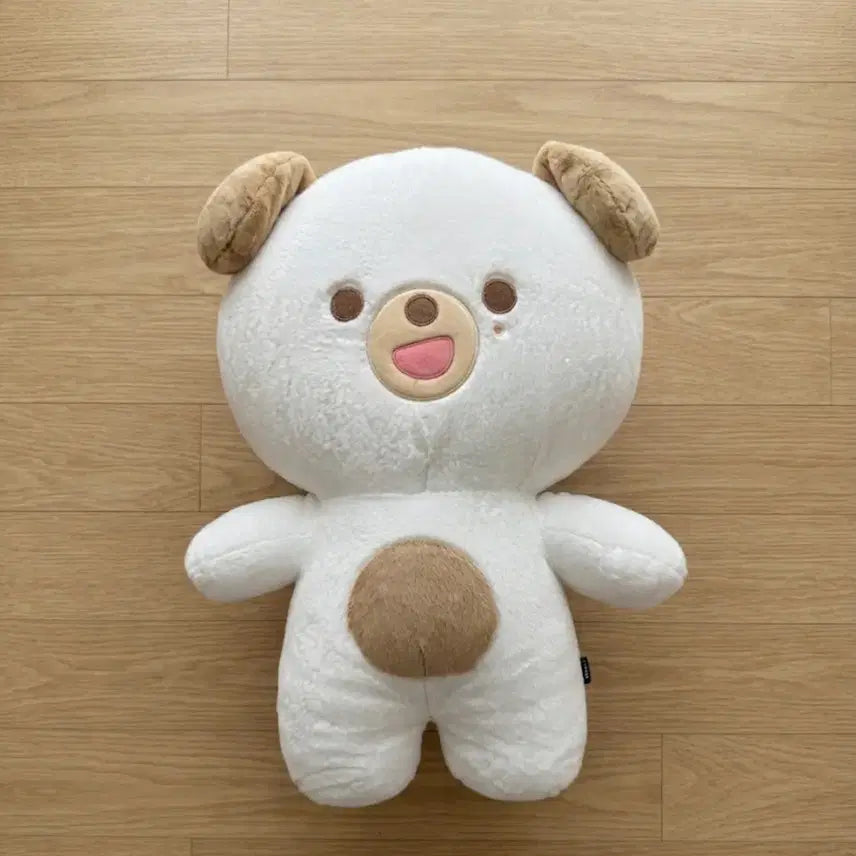 [BUNJANG] Jjappmul Money For Sale / 자쁘멀 돈 팝니다!!