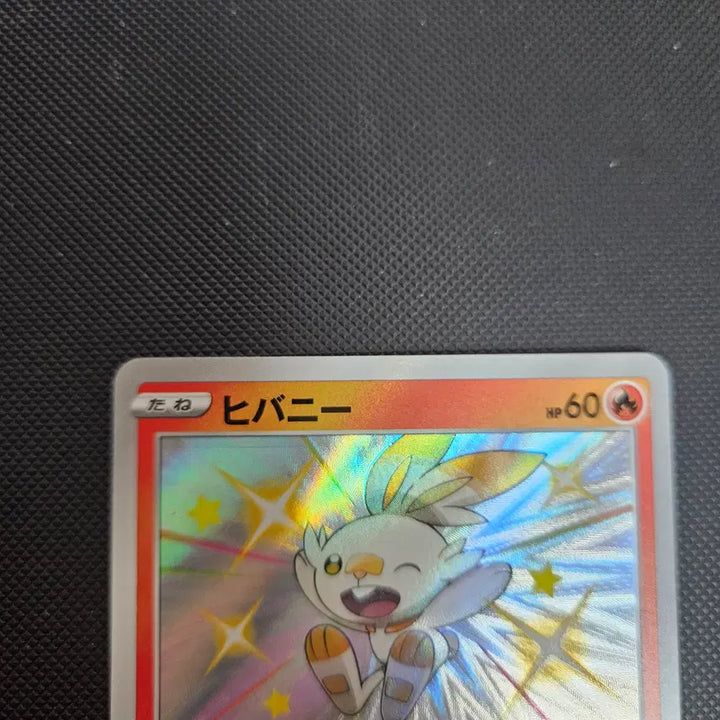 [BUNJANG] Ace Burn Rabbbit Version Shiny Set / 염버니 래비풋 에이스번 일판 이로치 세트