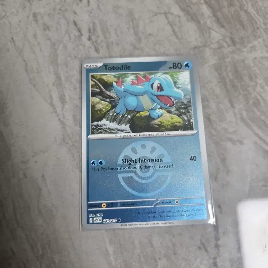 [BUNJANG] Pokemon Card North America Cyndaquil Holo / 포켓몬카드[북미] 리아코 홀로