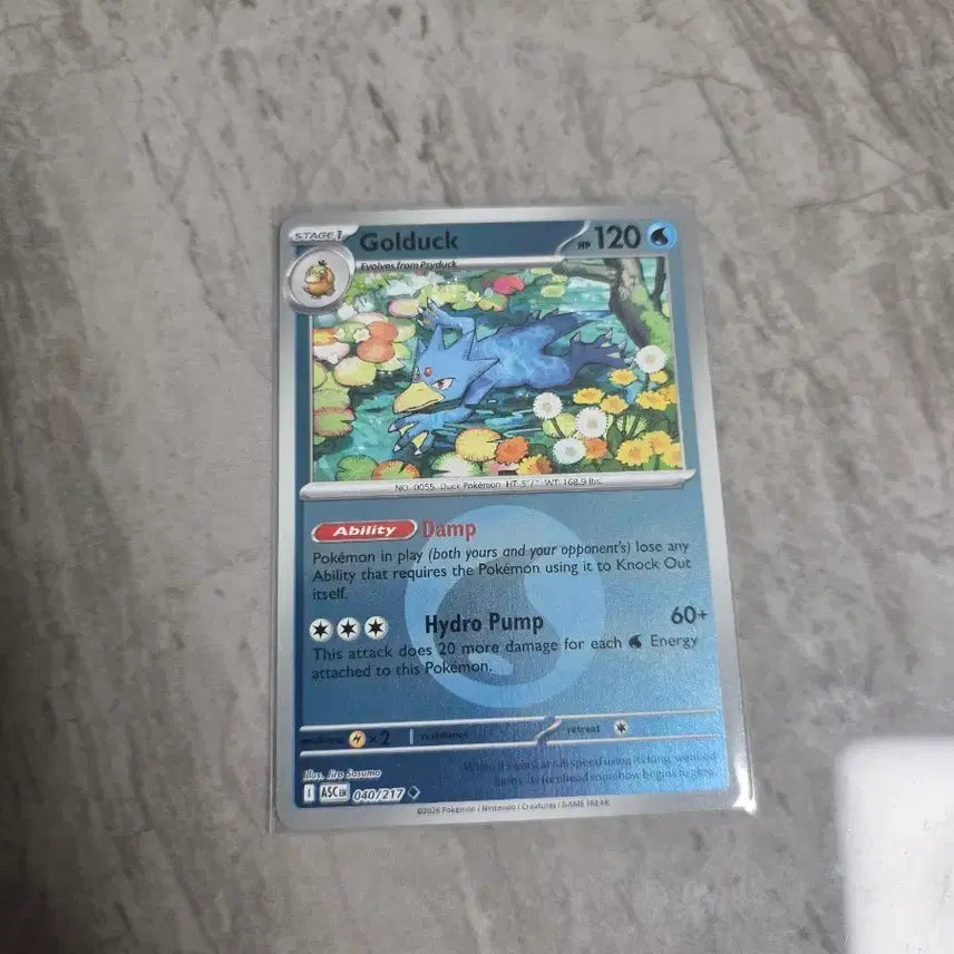 [BUNJANG] Pokemon Card Golduck Holo (North America) / 포켓몬카드[북미] 골덕 홀로