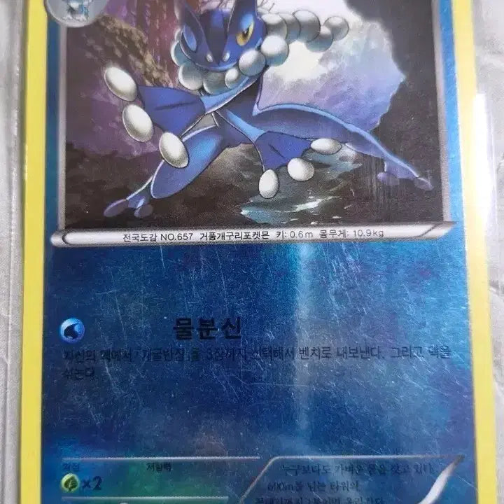 [BUNJANG] Pokemon Card Raichu Mirror Card / [포켓몬카드]개굴반장 팝니다