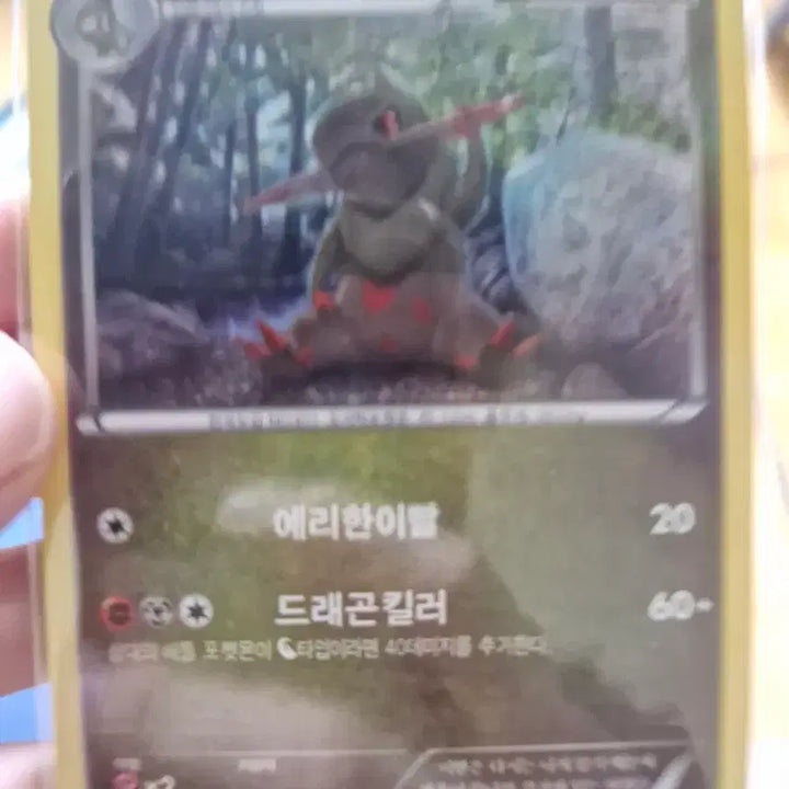 [BUNJANG] Pokemon Card Tergni 3-Stage Evolution Set / [포켓몬카드]터검니 3단진화팝니다