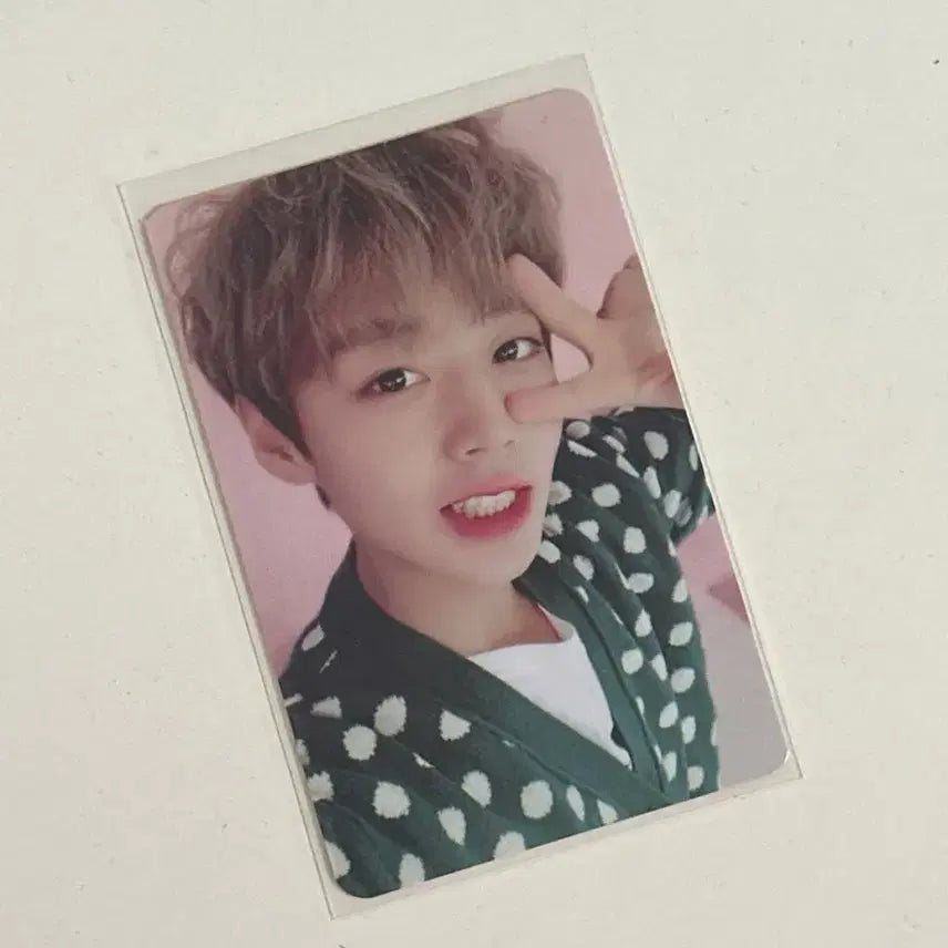 [BUNJANG] Park Ji Hoon May:kit 1st Gen Photocard / 박지훈 메이키트 1기 포카 포토카드