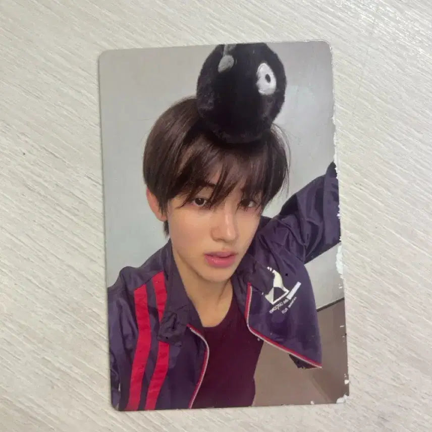 [BUNJANG] Jessi Jessica Ho TNT Ver. Eom Sung Hyun Photocard / 제시, 하자 사진 참고) 코르티스볼 tnt.ver 엄성현 포토카드