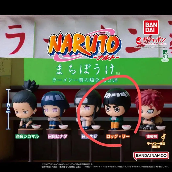 [BUNJANG] Naruto Machiboke Rock Lee / 나루토 마치보케 록리