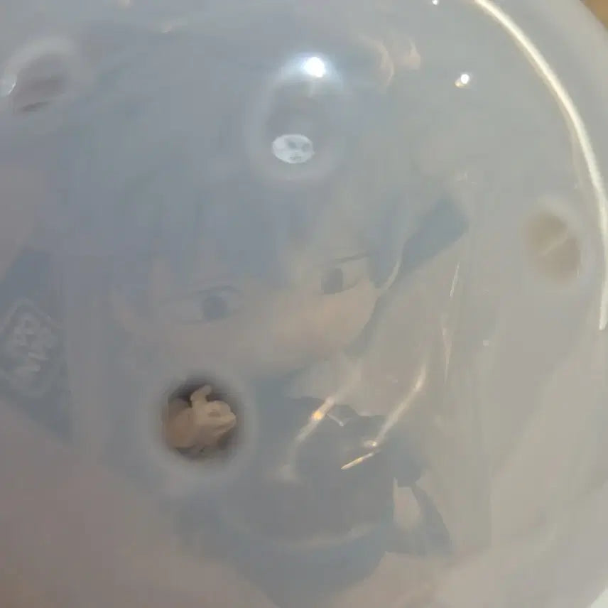 [BUNJANG] Gintama Mogumogu Nyamnyam Daeyeol Gacha Gintoki / 은혼 모구모구 냠냠대열 가챠 긴토키