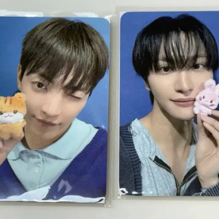 [BUNJANG] Ateez Aniteez Mini Tiny Mates Photocard Bundle Set / 에이티즈 애니티즈 미니 타이니 맏즈 포카 일괄