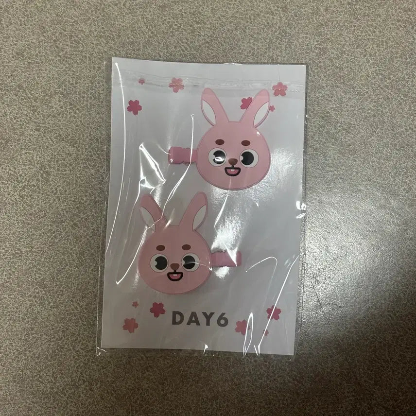 [BUNJANG] DAY6 Wonpil Yokohama Pilkki Hairpin / 데이식스 원필 요코하마 필끼 머리핀