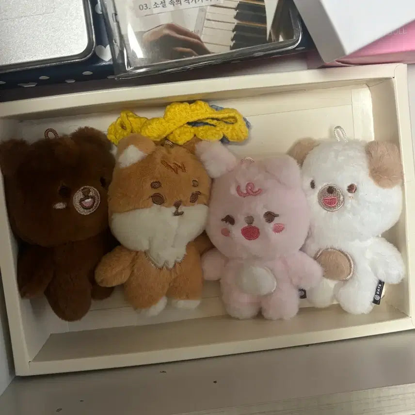 [BUNJANG] Day6 Petit Merz Bundle Set Bangkefidon / 데이식스 쁘띠멀즈 방케필돈 일괄