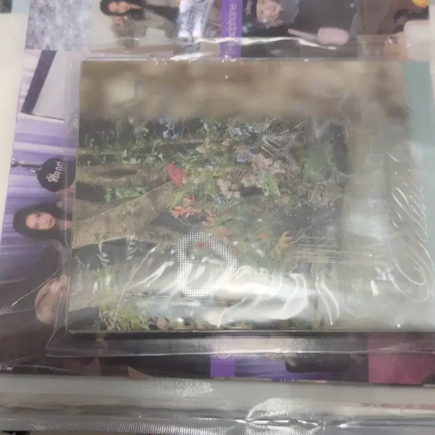 [BUNJANG] Kiki Delulu Pack Calendar Set Album / 키키 델룰루 팩 캘린더 구성포함 앨범
