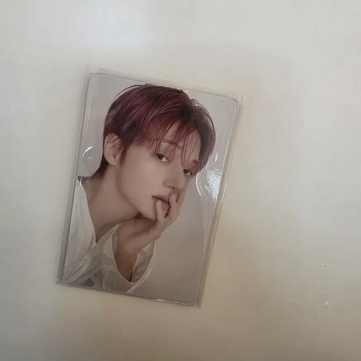 [BUNJANG] ATEEZ Wooyoung Lightstick Cover Photocard / 에이티즈 우영 응원봉 커버 포카 포토카드 양도