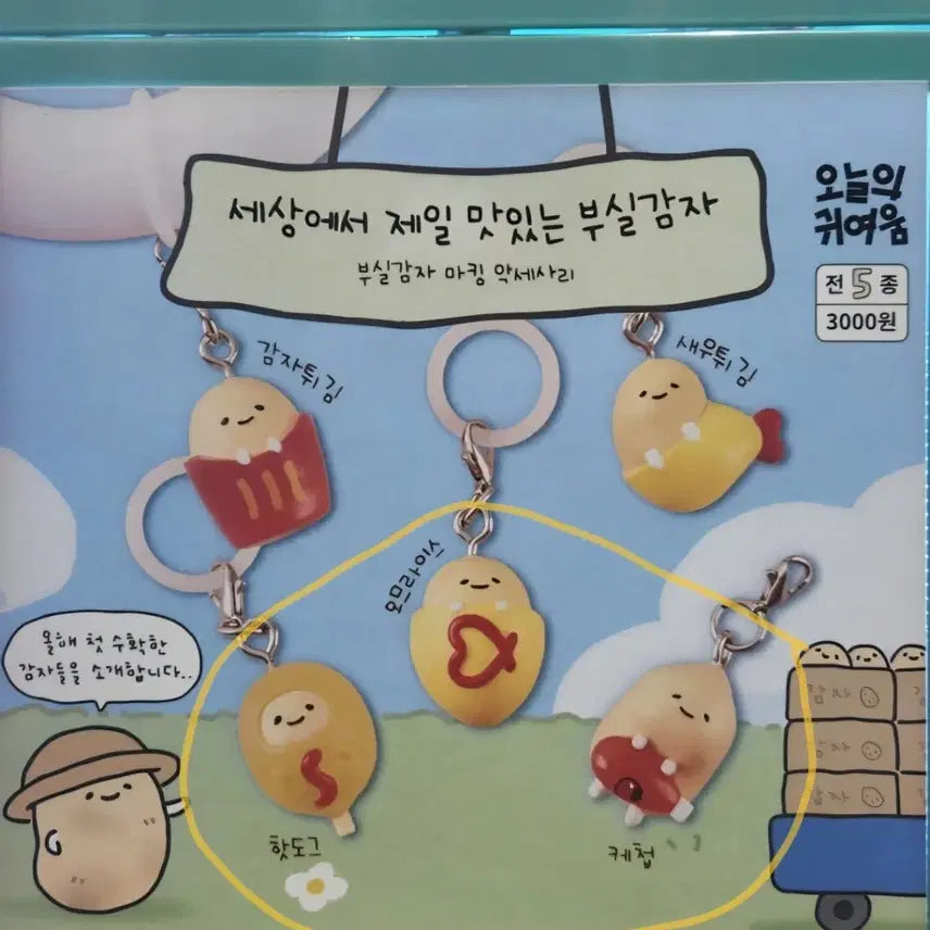 [BUNJANG] Minumsa X Today&