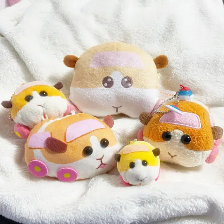 [BUNJANG] Morucca Potato Doll &amp; Pouch Bundle / 뿌이뿌이 모루카 일본판매 정품 포테토 일괄 6만원