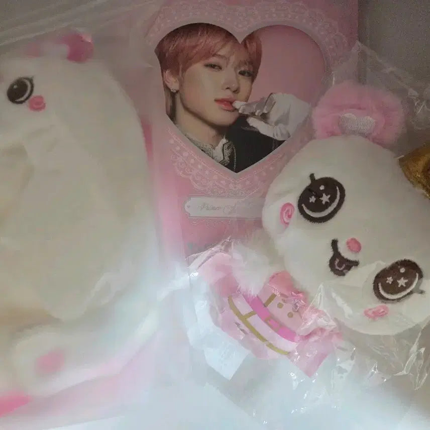 [BUNJANG] NCT WISH Sakuya Fan Meeting Photo Set, Pangy Cape, Prince Doll Bundle Set / NCT WISH 사쿠야 팬미포토세트와 팡이 케이프, 프린스돌 일괄