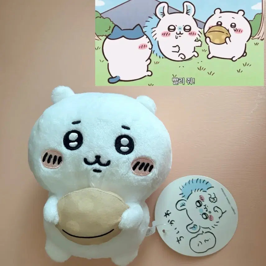 [BUNJANG] Chiikawa FURYU Coconut Plush Doll / 치이카와 후류 누이구루미 코코넛 인형
