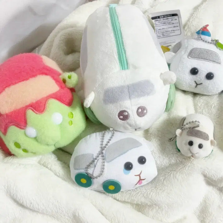 [BUNJANG] Morucca Shiro Mo Plush + Pencil Case Bundle Set / 뿌이뿌이 모루카 일본판매 정품 시로모 일괄 6.5만원