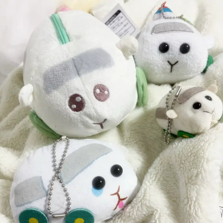 [BUNJANG] Morucca Shiro Mo Plush + Pencil Case Bundle Set / 뿌이뿌이 모루카 일본판매 정품 시로모 일괄 6.5만원