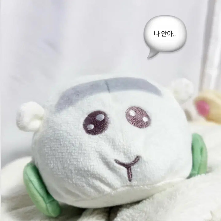 [BUNJANG] Morucca Shiro Mo Plush + Pencil Case Bundle Set / 뿌이뿌이 모루카 일본판매 정품 시로모 일괄 6.5만원