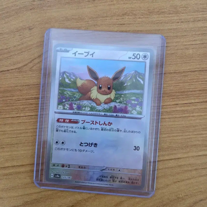 [BUNJANG] Pokemon Card Monster Ball Eevee Japanese Edition / 포켓몬카드 몬스터볼 이브이 일판