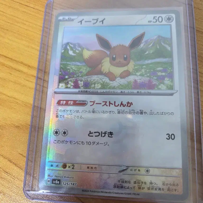 [BUNJANG] Pokemon Card Monster Ball Eevee Japanese Edition / 포켓몬카드 몬스터볼 이브이 일판