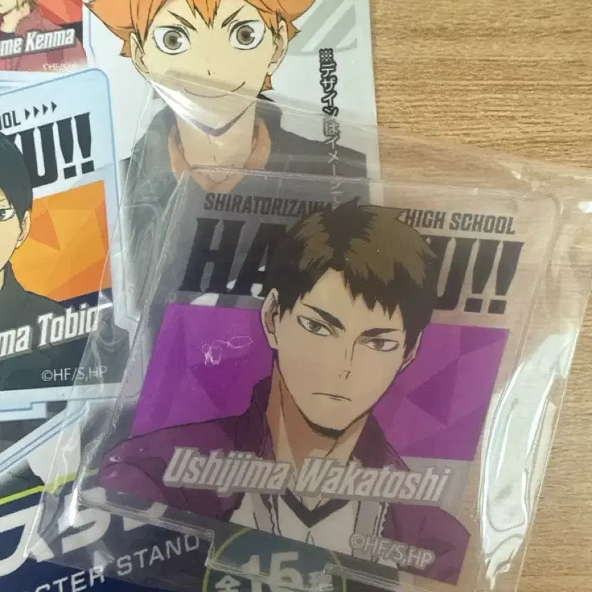 [BUNJANG] Haikyuu!! Wakatoshi Ushijima Mini Acrylic Stand / 하이큐 우시지마 미니 아크릴 스탠드 피규어