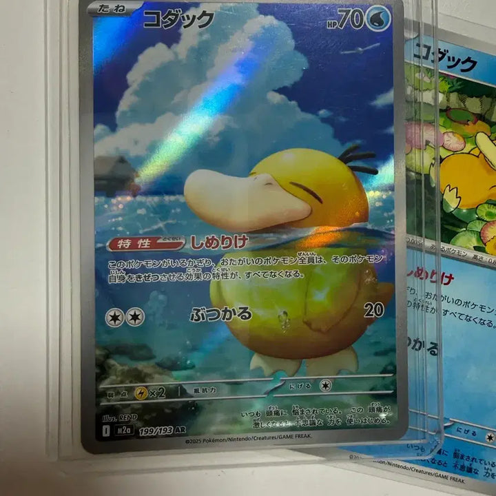 [BUNJANG] Psyduck and AR Bundle Set / 고라파덕 및 ar 일괄 (A)