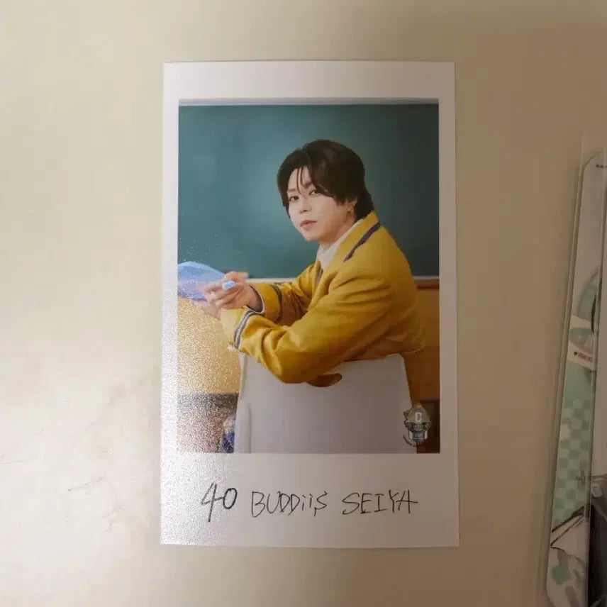 [BUNJANG] BUDDiiS Seiya Trest Card / 에비단 에비라이 BUDDiiS 버디즈 세이야 트레카