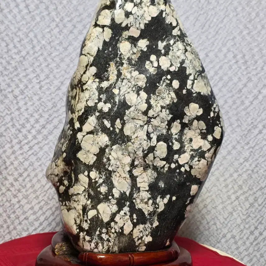 [BUNJANG] Muju Cotton Fossil Stone / 무주 목화 꽂돌
