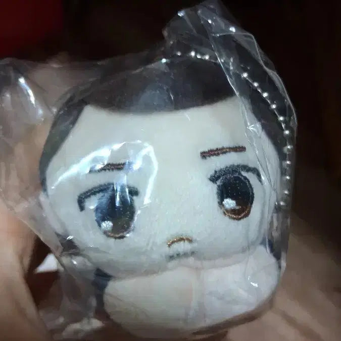 [BUNJANG] Haikyuu Azumane Asahi Plush Doll / 하이큐 아즈마네 아사히 인형